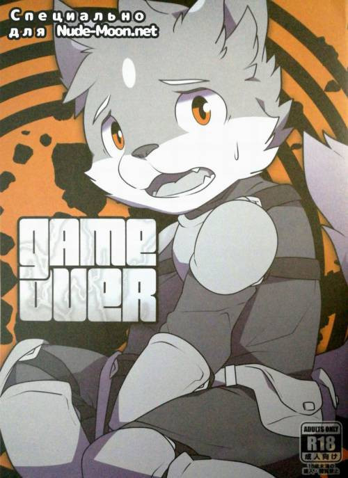 Game Over / Игра окончена