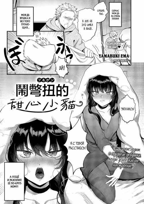 Grumpy Sweet Cat / Сердитая милая кошка