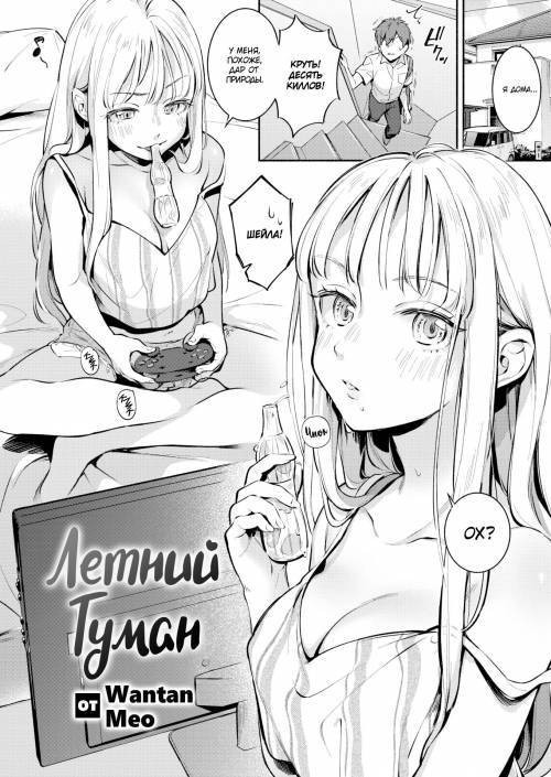 Summer Mist / Летний туман